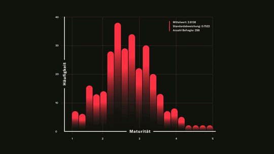 Durchschnittlich erreichen die befragten Unternehmen auf einer Skala von 1 bis 5 eine Data Maturity (Reifegrad im Umgang mit Daten) von 2,6.(Bild:  Namics)