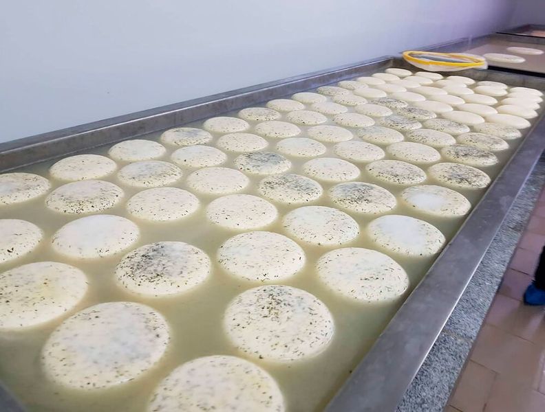 Für die Zubereitung von Milchprodukten spielt die Temperatur eine wichtige Rolle und sollte deshalb automatisch überwacht werden.  (FP Inovolabs)