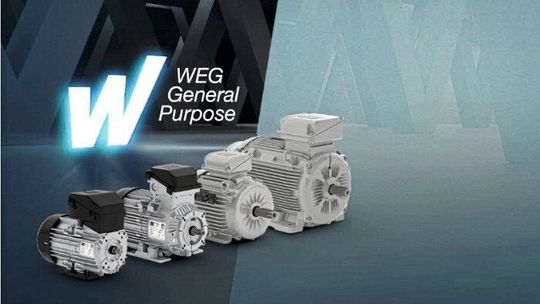 Die kostenoptimierte Motorenlinie W20 General Purpose feiert Deutschlandpremiere auf der SPS 2025(Bild:  WEG)