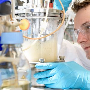 Numaferm verfügt über ein patentiertes Verfahren, mit dessen Hilfe Peptide direkt aus E.coli in die Protease-freie Umgebung gebracht werden können.