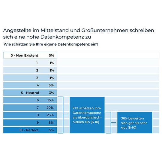 IT-Profis schätzen ihre Datenkompetenz oft optimistisch ein. IT-Profis schätzen ihre Datenkompetenz oft optimistisch ein.