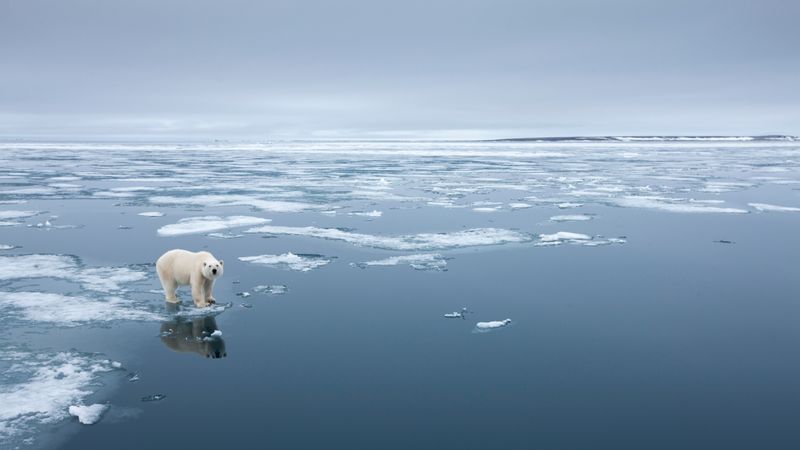 Neue Ansätze sind nötig, um CO2-Emissionen wirksam zu reduzieren, da bestehende Methoden allein nicht ausreichen, den Klimawandel angesichts von Stürmen, Dürren und schmelzendem Eis zu stoppen.  (Bild:  © Paul/stock.adobe.com)