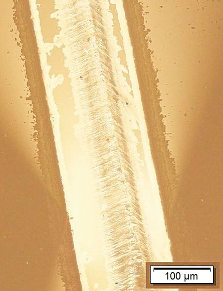 Viertel einer Polymer-Stange: Radius 100 µm, scharfe Schnittkanten und glatte Flächen. An der mittigen Kante kreuzen sich die beiden Schnitte. (Bild: Swisstec)