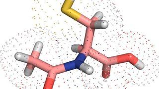 Molekülmodell von Acetylcystein – einem als Hustenlöser bekannten Wirkstoff. (© Tobias Dick/DKFZ)