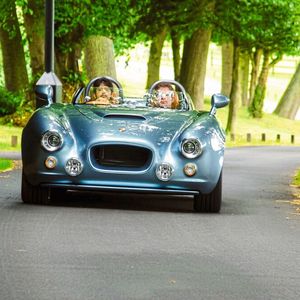 Die Eckdaten stimmten: In 3,8 Sekunden von 0 auf 100 km/h, 250 km/h schnell – das Modell Bullet von Bristol Cars hätte seinem Namen alle Ehre gemacht.(Bild:  Bristol Cars)