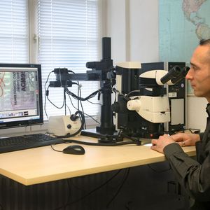 Abb. 2: Für Martin Fischer, Sachverständiger für Urkundenuntersuchungen am Regierungspräsidium Stuttgart, ist das Stereomikroskop Leica M165 C unverzichtbares Arbeitsmittel. 