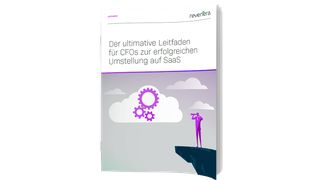 Flexera_CFO (flexera)