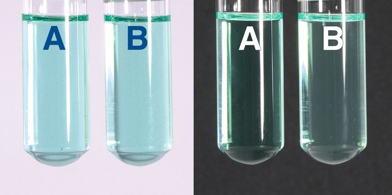 Durch eine automatische Trübungskontrolle bieten Nanocolor Spektralphotometer von Macherey-Nagel jedem Anwender eine maximale Messwertsicherheit bei der Auswertung von Rundküvettentesten. (Bild: Macherey-Nagel)