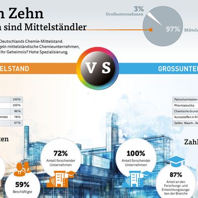 David und Goliath? Die Situation in der Chemieindustrie ist nicht so eindeutig wie es zunächst scheint... (Die Tabellen zeigen den Anteil der mittelständischen bzw. Großunternehmen an bestimmten Produktgruppen nach Umsatz). (Bild: VCG)