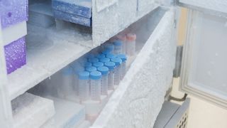 Abb.1: Stark vereiste Freezer verbrauchen bis zu 50 Prozent mehr Energie. Ein Abtauen spart Strom und damit Kosten. Und das ist nicht der einzige Weg, den Laborfreezer zu optimieren. (Bild: © mehmet - stock.adobe.com)