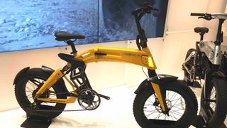 Noch in diesem Jahr soll das E-Bike Bad Bike verfügbar sein.  (Bild: SP-X/Mario Hommen)