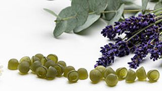 Funktionale Gummies verbinden Genuss mit Zusatznutzen und stellen damit höchste Anforderungen an Kochen, Dosieren, Gießen und Trocknen. (Bild: Syntegon )