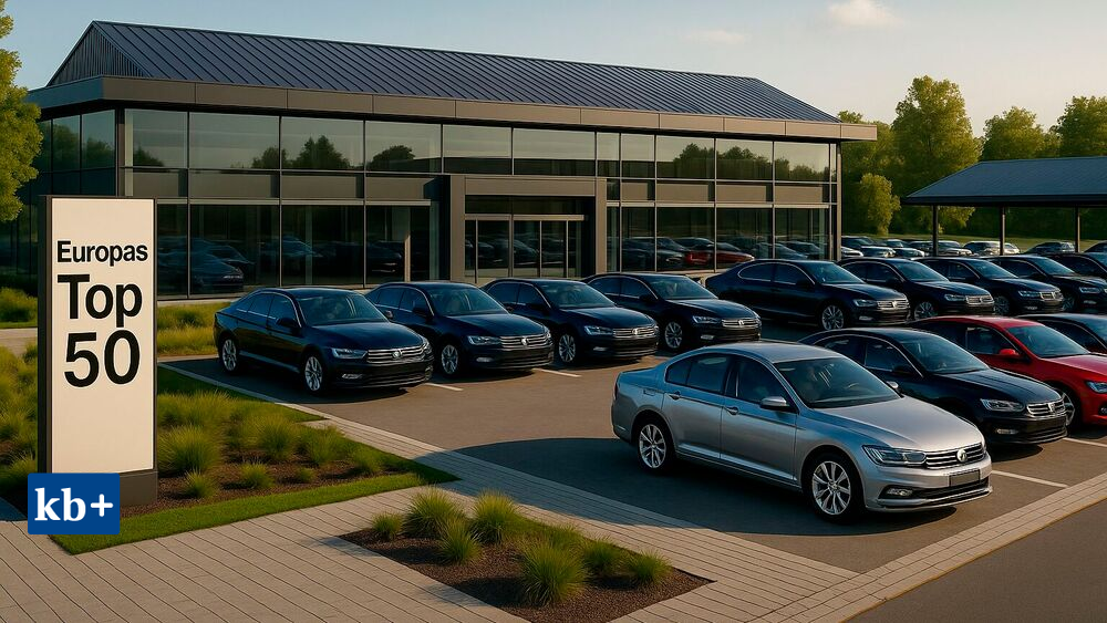 Große Autohändler steigern Marktanteil