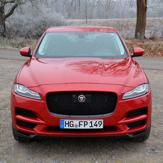 Für das Jahr 2019 weist die Neuzulassungsstatistik für den Jaguar F-Pace 2.221 Einheiten aus. Davon waren 1.529 mit einem Dieselmotor und 2.050 mit Allradantrieb ausgestattet. (Bild:  Michel/»kfz-betrieb«)