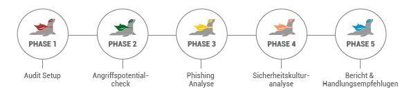Die fünf Phasen eines IT-SEAL Phishing Audits. Nach dem Start werden Basisdaten gesammelt, die User mit Phishing-E-Mails konfrontiert, die generelle Security-Kultur analysiert und im Abschluss die kompletten Ergebnisse präsentiert. (IT-SEAL)