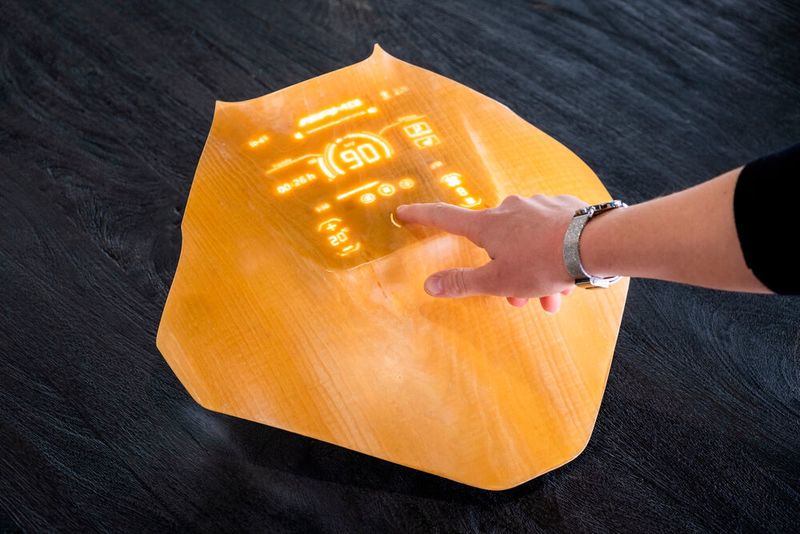 Woodoo entwickelte einen Werkstoff auf Basis von Holz, mit dem sich Displays abdecken lassen. (Woodoo)