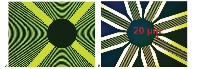 Harmonische Schwingungen der Oberfläche von Interdigitalwandlern erzeugen akustische Oberflächenwellen (SAWs). Indem die Orientierung über die Oberfläche variiert wird (1B) können die Resonanzfrequenz und die akustische Strömungsreaktion bestimmt werden. (Comsol)