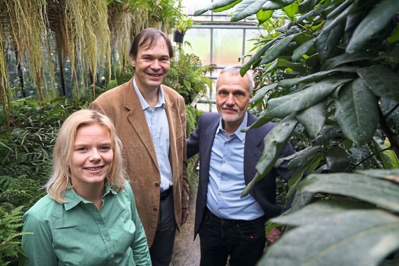 Wie kann Chemie genutzt werden, um Pflanzenhormone herzustellen? Damit befassen sich die Doktorandin Jana Löwe und die beiden Professoren Dr. Harald Gröger und Dr. Karl-Josef Dietz (v.l.) in einer neuen Studie. (Universität Bielefeld)