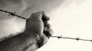 adobestock-10964158 (Quelle: Rebel – stock.adobe.com)