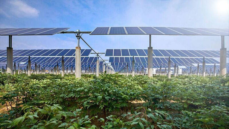 Agri-Photovoltaik will die Solarstromerzeugung und Landwirtschaft unter einen Hut bringen. Dieser Ansatz soll künftig über das Erneuerbare-Energien-Gesetz (EEG) stärker gefördert werden. 