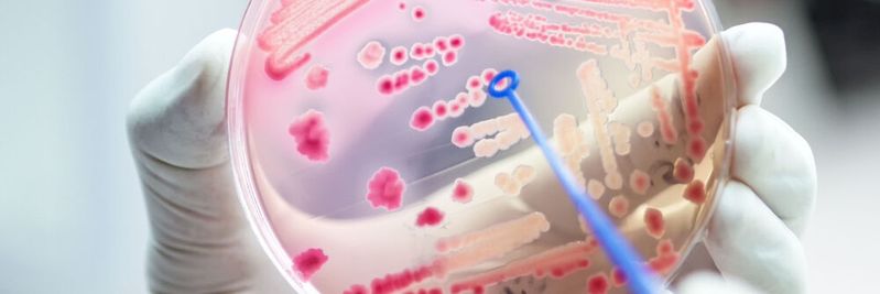 Potenziell krankmachende Bakterien werden zunehmend resistent gegen Antibiotika. Ein globales Problem, das jedes Jahr etwa 5 Millionen Menschenleben fordert. (Symbolbild)(Bild:  analysis121980 - stock.adobe.com)