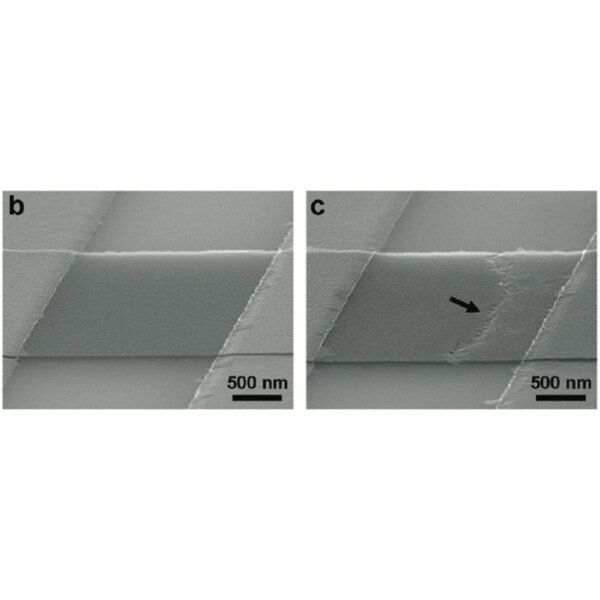 Risse im Grafit: Wird eine Spannung angelegt, so bildet sich in der zehn Nanometer dünnen Struktur ein Riss, der als logische 1 interpretiert wird. Wird erneut eine Spannung angelegt, so glättet sich der Riss wieder. (Bild: Rice University)