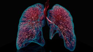 Das digitale Lungenmodell des TUM-Lehrstuhls für Numerische Mechanik bildet die komplexen Vorgänge in der Lunge bis in die mikroskopische Ebene ab. (Jakob Richter / Ebenbuild / TUM)