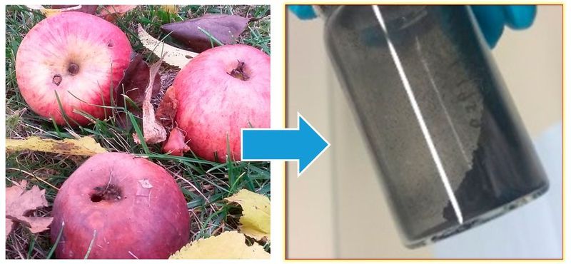 Das neue kohlenstoffbasierte Material für Natrium-Ionen-Batterien kann aus Äpfeln gewonnen werden. (Bild: KIT/HIU)
