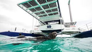 Die Energy Oberserver produziert ihren eigenen Wasserstoff aus Meerwasser.  (Agathe Roullin/Energy Observer Productions)