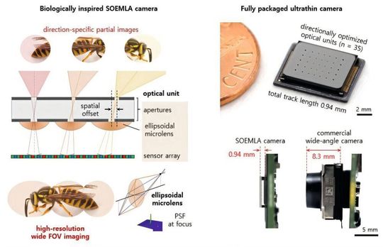Prinzipskizze der biomimetischen Kamerastruktur sowie Makroaufnahmen des gefertigten, ultraflachen Kameramoduls.(Bild:  Nature Communications / DOI: 10.1038/s41467-024-70967-2)