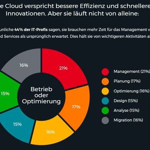Vor allem das Cloud-Management stellt für viele Unternehmen eine große Herausforderung dar.