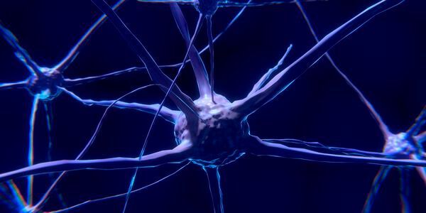 Brain-Machine-Interfaces messen Gehirnsignale und leiten daraus Steuerbefehle für Roboter ab. Daran forscht aktuell das DFKI.(Bild:  gemeinfrei /  Pixabay)