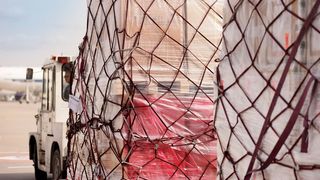 Mit Smart Pick-up wird die papierlose Abwicklung am Frankfurter Flughafen Realität. (Bild: Fraport AG)