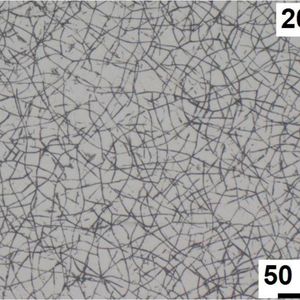 Die Kolbenringbeschichtung GDC60 verfügt über ein feineres Mikrorissnetzwerk mit mehr und gleichmäßiger verteilten Nanodiamantpartikeln ...(Bild:  Federal-Mogul)