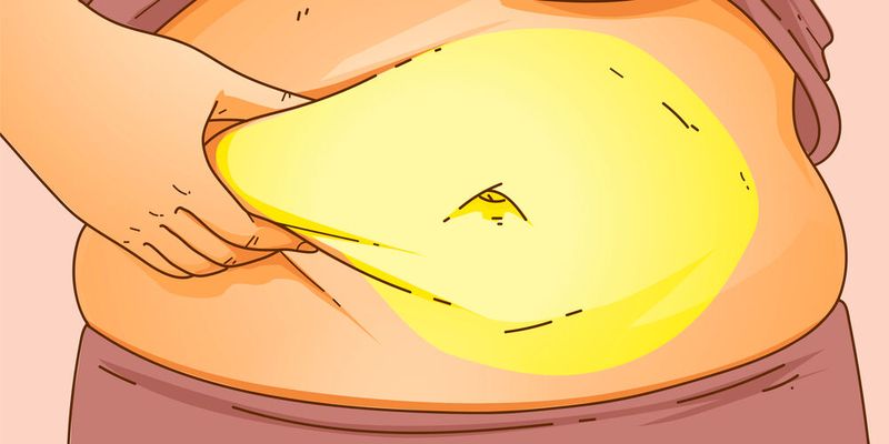 Die Zellen des Bauchfettgewebes sind bei übergewichtigen Menschen mit Stoffwechselerkrankungen funktionell stark verändert. (Bild:  Usty - stock.adobe.com)