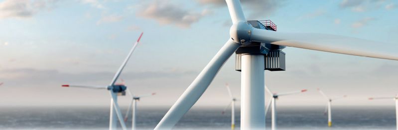 (Quelle:  HOTOCREO Michal Bednarek/Shutterstock)