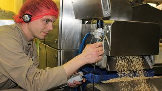 Mit der Vebrauchsoptimierung der Produktionsanalagen spart Moll elf % Energie ein. (Bild: Moll Marzipan GmbH)