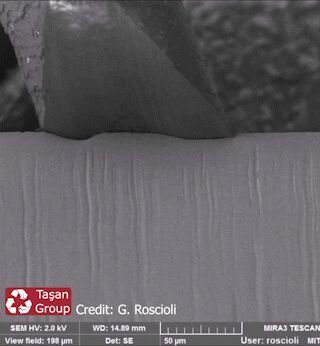 An in-situ hair cutting experiment in a scanning electron microscope, showing the chipping process. (Gianluca Roscioli)