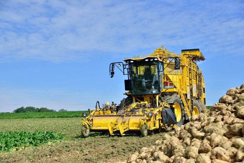 Der Tiger im Einsatz. (Bild: Ropa)