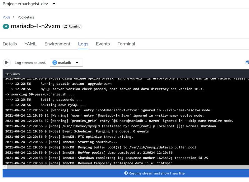 Anzeigen der Protokolle einer Topologie. (Bild: Joos / Red Hat)