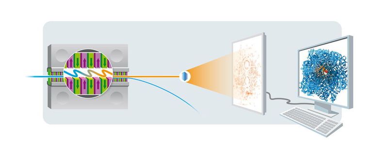 Prinzip der Röntgenkristallographie: Ein Elektronenstrahl (blau) erzeugt in der magnetischen Slalombahn eines sogenannten Undulators (links) einen Röntgenblitz (orange). Trifft dieser Blitz auf einen Proteinkristall, entsteht ein charakteristisches Beugungsbild auf dem Detektor, aus dem sich die räumliche Struktur des betreffenden Proteins am Computer berechnen lässt.  (DESY, Cyprian Lothringer)