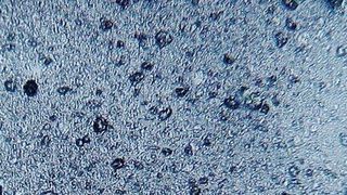 Als Mikroplastik werden allgemein Kunststoffteilchen mit einer Größe von unter fünf Millimetern bezeichnet. (Quelle: naturschutz.ch)