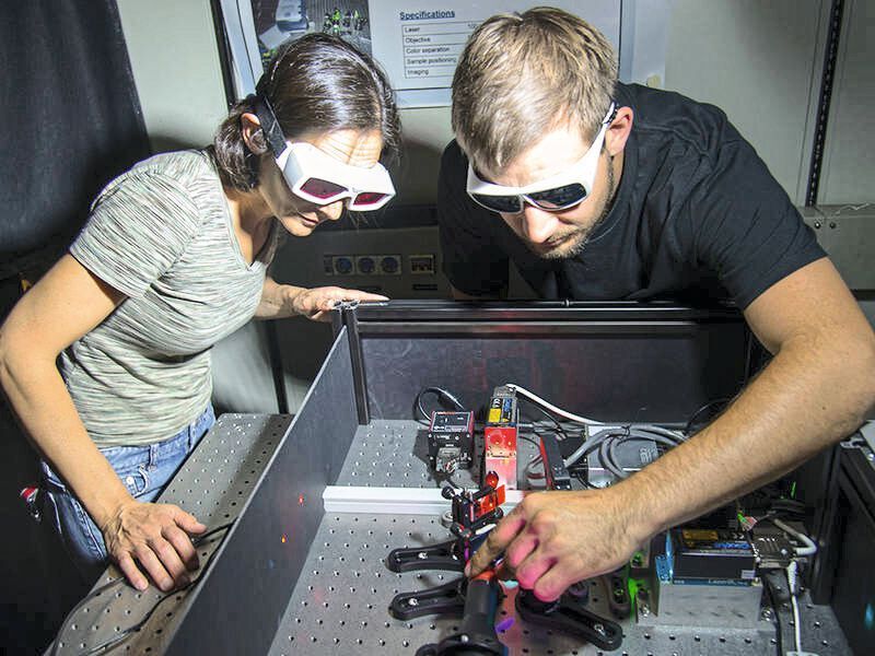 Dr. Zeynep Ökten und Willi L. Stepp am Fluoreszenzmikroskop (A. Battenberg / TUM)