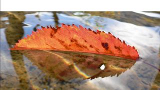 nachhaltigkeitsbericht_2017 ()