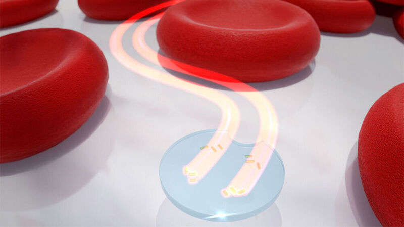 Eine künstlerische Darstellung der Mikrodrohne, wie sie mithilfe ihrer lichtgetriebenen Nanomotoren zwischen roten Blutkörperchen entlang steuert.