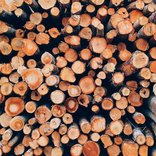 Chemical conversion of lignin facilitates the production of pharmaceuticals from wood waste. Chemical conversion of lignin facilitates the production of pharmaceuticals from wood waste.