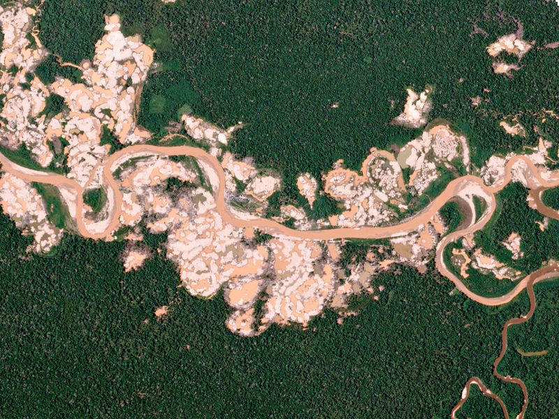 Peru illegale Goldmine – Die Aufnahmen von Planet halfen dabei, die illegalen Aktivitäten aufzudecken. (Bild: Planet Labs Inc.)