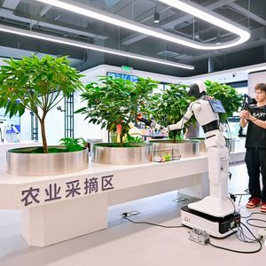 Roboter führen hier ganz lebensnahe Aufgaben aus dem Haushalt und der Industrie aus.(Bild:  RealMan)