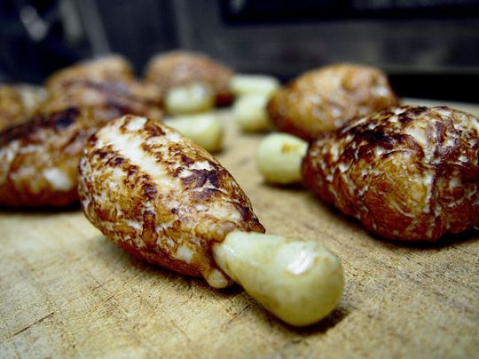 Der essbare Knochen! Eine neuartige, biobasierte Beschichtung trennt trockene und feuchte Sektionen bei Lebensmitteln, wie das TLB informiert. Im Rahmen eines Wettbewerbs entstanden so etwa die hier zu sehenden Crumbsticks mit einem Brotknochen, der nicht aufweicht.(Bild:  Uni Hohenheim / D. Oppen)