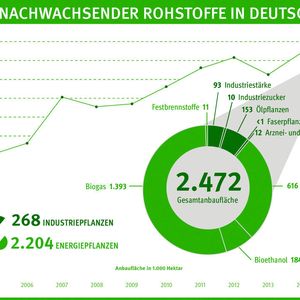 Auf 2,5 Millionen Hektar wurden im Jahr 2015 Rohstoffpflanzen für die energetische und stoffliche Nutzung angebaut.